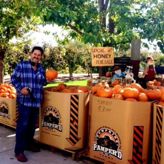 Cal Poly Pomona Farm Store and Pumpkin Patch