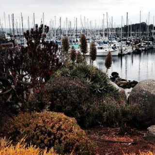 Monterey, California: Crepes to Cioppino