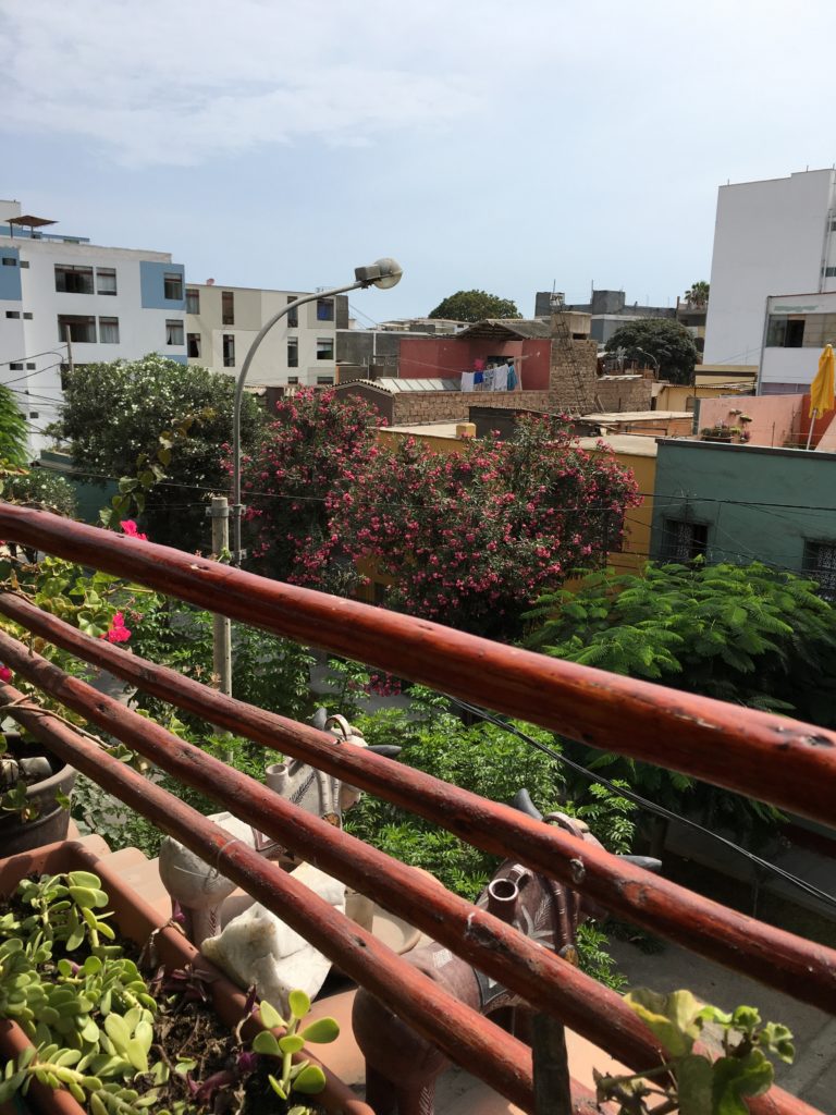 View from the rooftop of Casa Nuestra