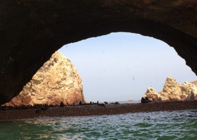 Ballestas Islands