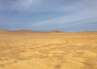 Driving, Paracas National Reserve