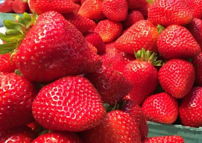 Fresh Strawberries