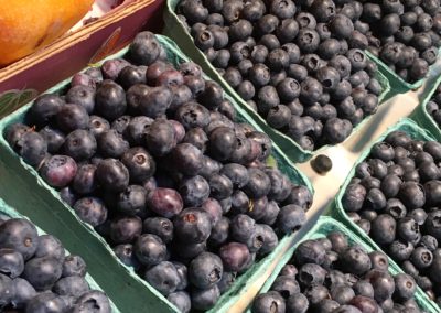 Fresh Blueberries